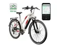 Zündapp Z810 E Bike Damen Trekkingrad ab 165 cm Elektrofahrrad 550 Wh Pedelec Trekking Rad Fahrrad mit 8 Gang und Beleuchtung StVZO