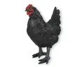 colourliving Tierfigur Gartendeko Huhn Figur Schwarz 35cm stehend Deko, handbemalt, realistische Darstellung
