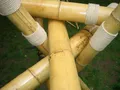 5 Stück Bambus - Stangen Bambushalm Bambusrohr  200cm lang 8-10 cm Durchmesser