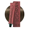 Schwarzkopf Igora Color10 7-1 Cendré Mittelblond 60ml