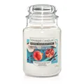 Yankee Candle, Duftkerze im Glas "Pomegranade Coconut", frisch, fruchtig, tropischer Duft von Kokosnuss und Granatapfel, lassen Sie sich an entfernte Strände mit Cocktails aus frischen Früchten