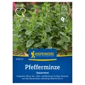 Kiepenkerl Saatgut Pfefferminze 'Spearmint', grün