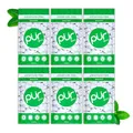PUR Gum | Zuckerfreier Kaugummi | Mit Xylit | Vegan, Aspartamfrei & Glutenfrei | Natürlicher Kaugummi Mit Spearmint-Geschmack, 55 Stück (6er Pack)