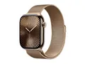 Apple Watch Series 10 (GPS + Cellular) 46mm Titan gold mit Milanaise-Armband M/L gold