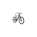 TELEFUNKEN M921 E-MTB 29" granitgrau
