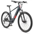 TELEFUNKEN M921 E-MTB 29" granitgrau