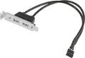 I00 USB-Adapterkabel 9-Pin Buchse auf 2× USB 2.0 Buchse – 30 cm Kabel, Slotblech 8 cm – Mainboard Frontpanel Anschluss