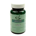 Zink Kapseln Inhalt: 25.3 g