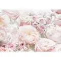 Xora Fototapete, Rosa, Weiß, Rose, 368x254 cm, Fsc, Tapeten & Wandverkleidungen, Fototapeten