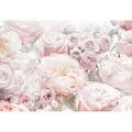Komar Fototapete Spring Roses 368 x 254 cm