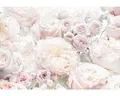 Fototapete Papier 8-976 Spring Roses 8-tlg. 368 x 254 cm