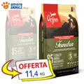 ORIJEN Hund Adult Tundra → 11,4 KG - Kroketten für Hunde, Hunde Adult