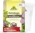 Neudorff Nützlinge gegen Dickmaulrüssler – 10 Mio. HM-Nematoden