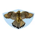 Günther Flugdrachen Falke mehrfarbig, 1 St.
