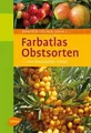 Farbatlas Obstsorten | Buch | Zustand sehr gut