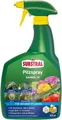 Substral Pflanzen-Pilzfrei Substral Pilzfrei Saprol N 800 ml - anwendungsfertiges Fungizid
