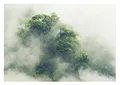Fototapete Wald Nebel Regenwald Tropischer Dschungel Bäume - inkl. Kleister - für Wohnzimmer Schlafzimmer Flur Modern Vlies Tapete Vliestapete Wandtapete Motivtapeten Montagefertig (312x219 cm)