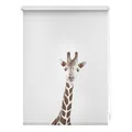 Lichtblick Rollo, Klemmfix, 45x150 cm, Giraffe - braun