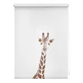 Lichtblick Rollo Klemmfix, ohne Bohren, Verdunkelung, Giraffe - Braun