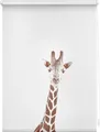 Lichtblick Rollo Klemmfix, ohne Bohren, Verdunkelung, Giraffe - Braun 45 x 150 cm (B x L)