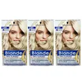 3x Schwarzkopf Blonde L101 Silberblond Platin Aufheller Bis Zu 8 Stufen 145ml