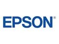 Epson WorkForce DS-1730 - Dokumentenscanner - Duplex - 215.9 x 3048 mm - 1200 dpi x 1200 dpi - bis zu 30 Seiten/Min. (einfarbig)