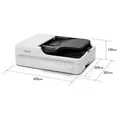 Epson WorkForce DS-1730 - Dokumentenscanner - Duplex - 215.9 x 3048 mm - 1200 dpi x 1200 dpi - bis zu 30 Seiten/Min. (einfarbig)