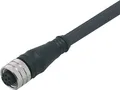Ifm Electronic E12166 Anschlussleitung Buchse, gerade 5m Polzahl Sensoren: 8 1St.