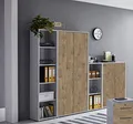 Schrankwand TABOR 4 Büroregal Aktenschränke Büroschrank abschließbar in diversen Farbvarianten (lichtgrau/Gold Harbor Oak)