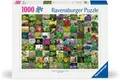 1000 Teile Ravensburger Puzzle 99 Kräuter und Gewürze 12000073
