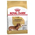ROYAL CANIN Dachshund 7,5kg+Überraschung für den Hund