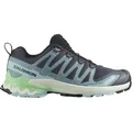 Salomon Damen XA Pro 3D V9 Schuhe (Größe 42, blau)