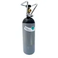 Stickstoff Flasche 2l mit Flaschencage mit dafür geeigneten Bier Zapfanlage