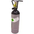 Ich-Zapfe Stickstoffflasche 2, mit Flaschencage LebensmittelqualitÄT Metall
