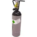 ich-zapfe Stickstoff Flasche 2l mit Flaschencage - Flasche mit Zwei Litern Stickstoff in Lebensmittelqualität zum Zapfen von Stout Bieren mit daf...