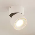 Arcchio LED Deckenlampe Ø 10 cm, Deckenstrahler 350° drehbar, 90° schwenkbar, De