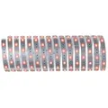 Paulmann - Maxled Stripe Rgb 79867 Led-streifen Mit Stecker 24 V 5 M Warmweiß 1 St.