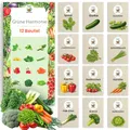 TORAF Gemüsesamen Set 12 Ausgesuchte Sorten – Premium Saatgut für Garten, Balkon, Hochbeet - Leicht anzubauen - Ideal für Anfänger und Gartenliebhaber - für Frische Ernte zu Hause - Geschenkset