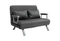 HOMCOM Schlafsofa Zweisitzer mit Bettfunktion, Einzelbett mit Kissen, Schlafsessel 1 Teile, für Wohnzimmer, Grau