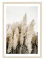 Gerahmtes Bild Wandbild Kunstdruck MDF Beige Weiß Pampasgras 50 x 70 cm