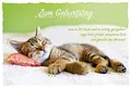 BSB Geburtstagskarte Geburtstagsgrüße Geburtstagswünsche - Katze - Umschlag hellgrün, 591025-2