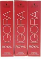 Schwarzkopf Igora Royal 1-0 Schwarz