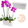 2x Orchideentopf Orchideen Übertopf Pflanztöpfe Übertöpfe für Orchideen aus Kunststoff Innen Elegant Orchideentopf groß weiß