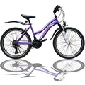 Talson Mountainbike 26 Zoll Fahrrad mit, 21 Gang Shimano, Kettenschaltung, mit Beleuchtung nach StVZO und Gabelfederung Lila