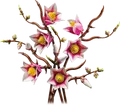 LEGO 11510 - LEGO Botanicals - Magnolienzweige