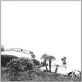 Hot Dreams von Timber Timbre | CD | Zustand sehr gut