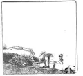 Hot Dreams Timber Timbre: