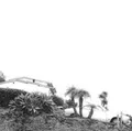 Timber Timbre Hot Dreams (CD) Album