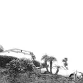 TIMBER TIMBRE - HOT DREAMS  CD NEU