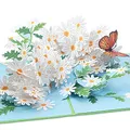 papercrush® Pop-Up Geburtstagskarte Gänseblümchen mit Schmetterling - 3D Geburtstagskarte für Frauen (Freundin, Kollegin), Glückwunschkarte für Frau, Mama & Oma, Gutscheinkarte für Gärtner